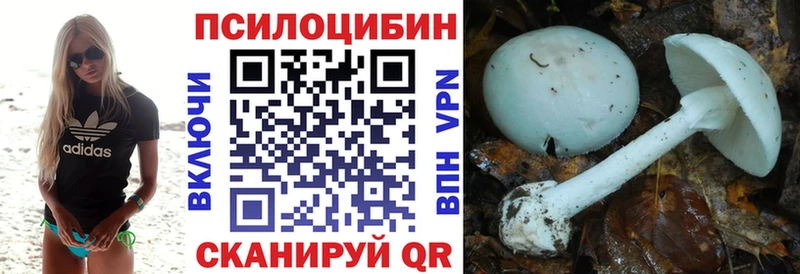 Купить где Шуя Псилоцибиновые грибы Magic Shrooms
